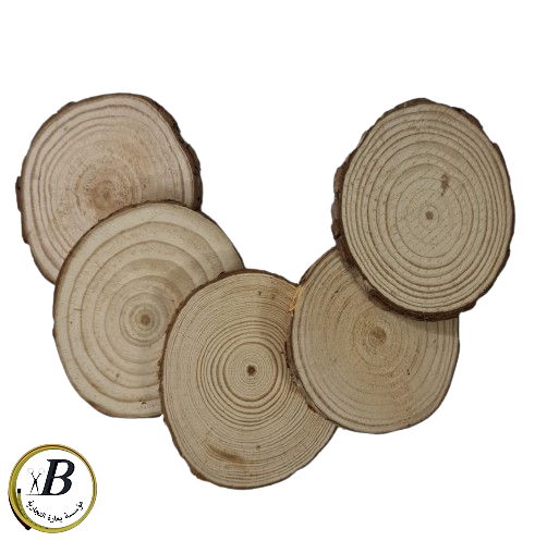 خشب جذع الشجر Tree trunk wood